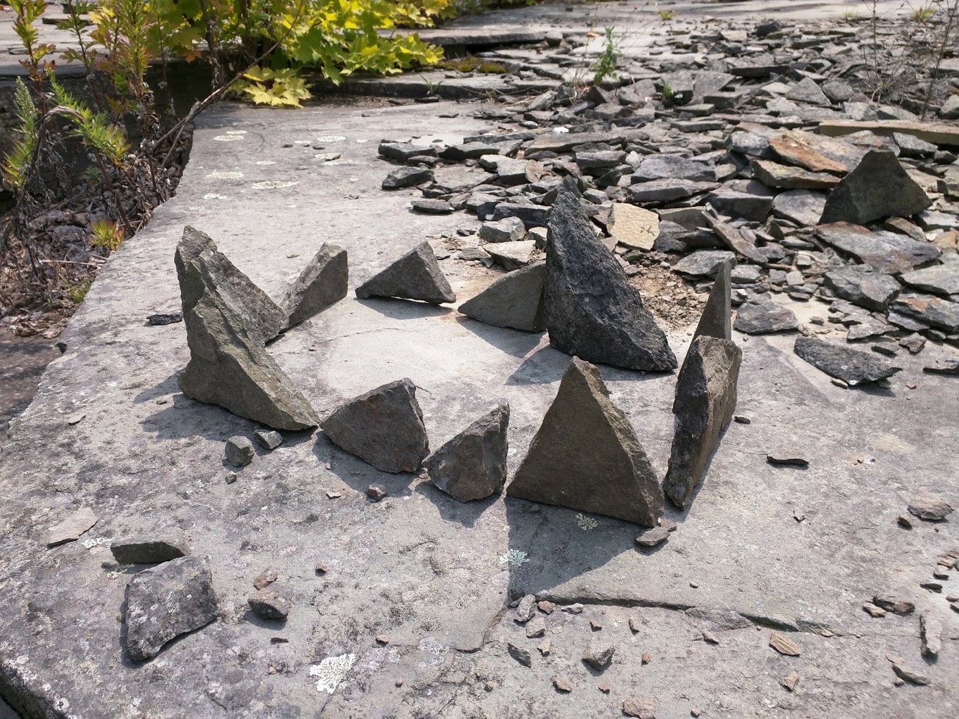 Small angular bluestone forms standing on the quarry floor