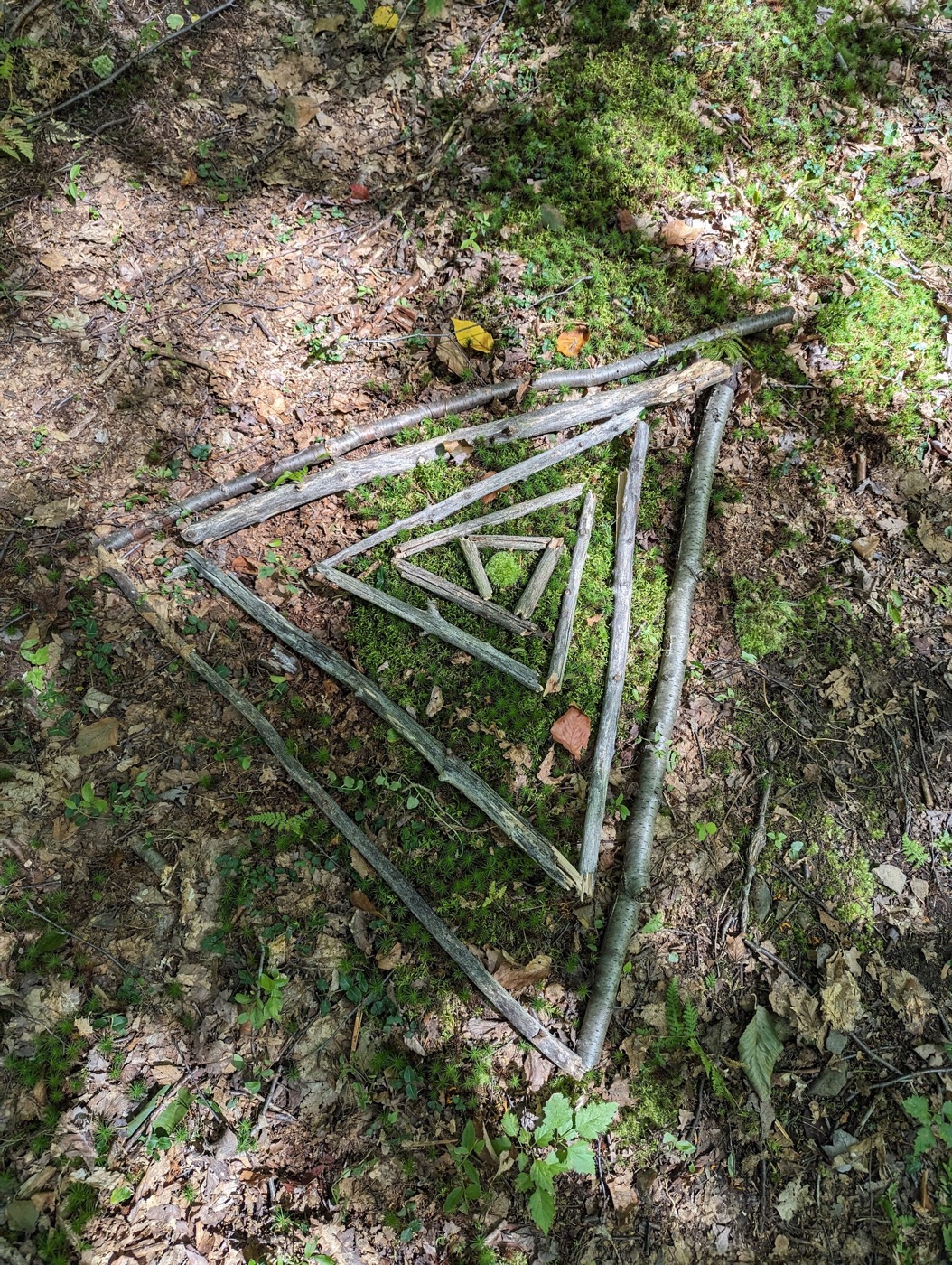 Three nested triangles carefully assembled from pale fallen twigs